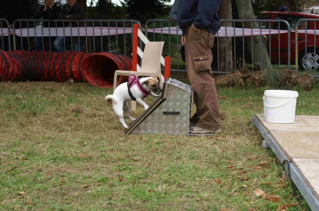foire-haricots 2011-09-17et18
